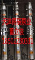 天津雨辰泵業(yè)大流量高揚程不銹鋼潛水排污泵
