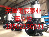 雨辰泵業(yè)大流量高揚(yáng)程不銹鋼潛水排污泵生產(chǎn)廠家