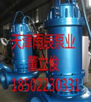 天津雨辰泵業(yè)經(jīng)營(yíng)大流量高揚(yáng)程不銹鋼排污泵