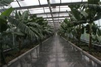 溫室陽(yáng)光板8mm、10mm陽(yáng)光板價(jià)格湖藍(lán)